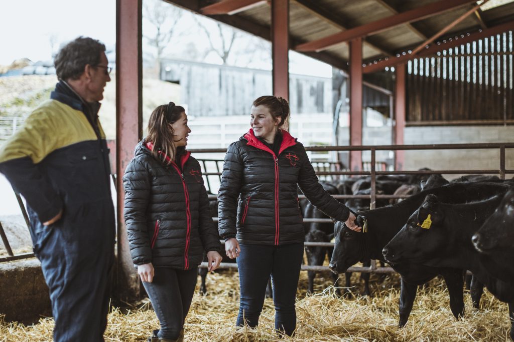 two ladies dressed in black and red jackets and a man in a boiler suit in a pen of black calves.