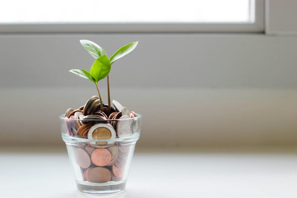 Coins in a pot with a green shoot growing from it
