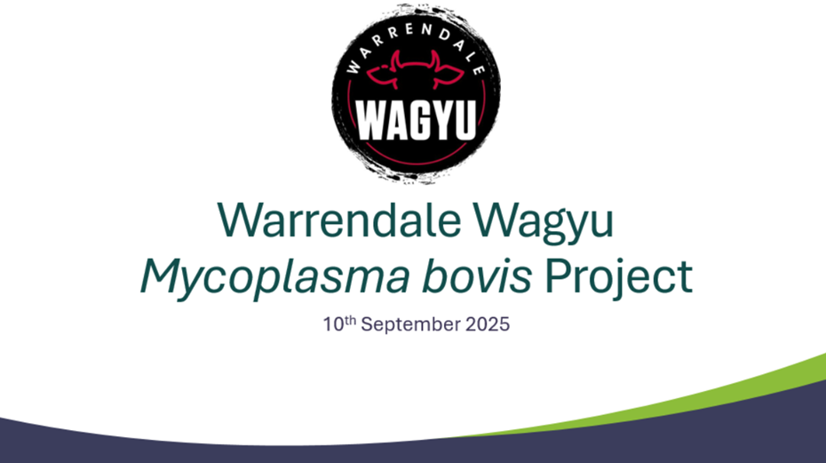 Title slide showing Warrendale Wagyu, Mycoplasma bovis project