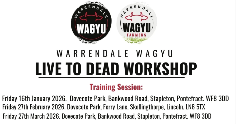 Sign for live to dead workshops